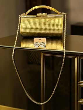 Sarina Metal Bag & Earrings